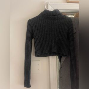 Crop turtleneck knit